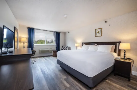 Hotel International Hoteles en 