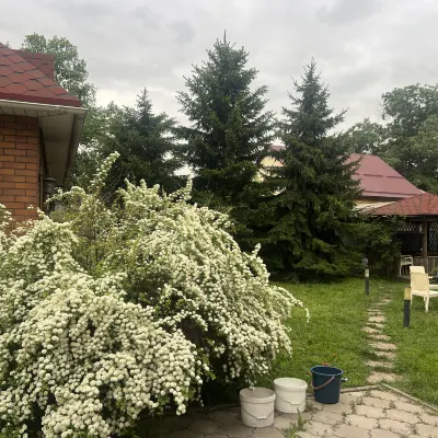 Wish Today Hotels near Almaty International Airport