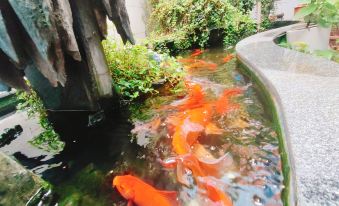 Chaochanghui Qiu Homestay