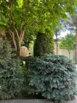 Regal Garden Hotel
