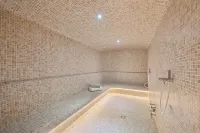 Hôtel Mercure Paris Vaugirard Porte de Versailles - spa