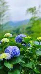 Ranran Landscape · Wild Luxury Landscape Famliy Parent Child Vacation Homestay (Moon Bay Store)