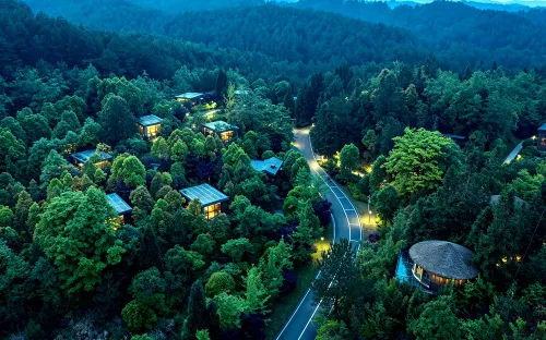 Anshun Banshan Wuyin Forest Villa - Rooftop Pools