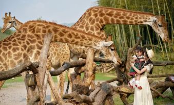 Giraffe Manor Hotel