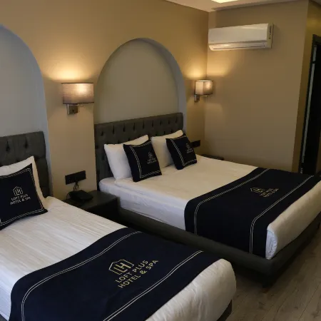 Loft Plus Hotel's