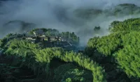 Wuxin Yunshe Hostel - Mountain view