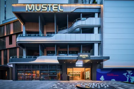 THE MUSTEL HOTEL CHONGQING. HONGYADONG