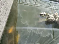 Nayong Yangchangzhen Yuxiangqi Business Hotel