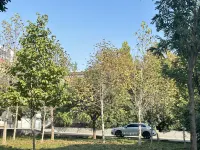 Four Seasons in the Clouds B&B (Jize Cultural Plaza) Hotels in Quzhou