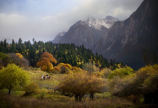 구채구 가족 여행 숙소 전경
