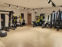 Vienna 3 Best  Hotel (Dezhou Lingcheng Branch) - gimnasio