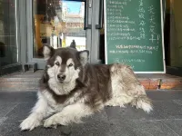 Kangsang Youth Hostel (Potala Palace Jokhang Temple) โรงแรมในลาซา