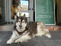 Kangsang Youth Hostel (Potala Palace Jokhang Temple)