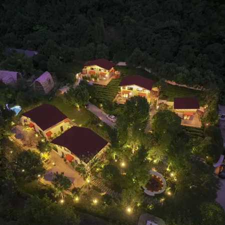Changxing Lin Yin tea language homestay