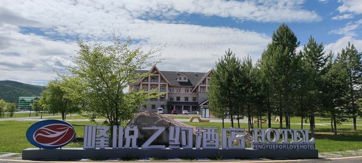 Arctic Village Peak Yuezhiyue Hotel Hotels in Mohe City