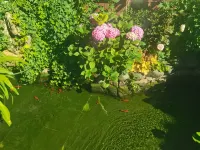 Lijiang Flower Sea Inn (South Gate of Ancient City) - 駐車場