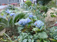 Floral Hotel · Huayan Hotel Hotels in Shangrao
