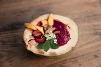 可可和菠蘿褲旅舍