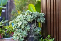 騰沖大雁旅居酒店(華僑城夢幻騰沖店) 鄰近華僑城·祕境森林樂園的酒店