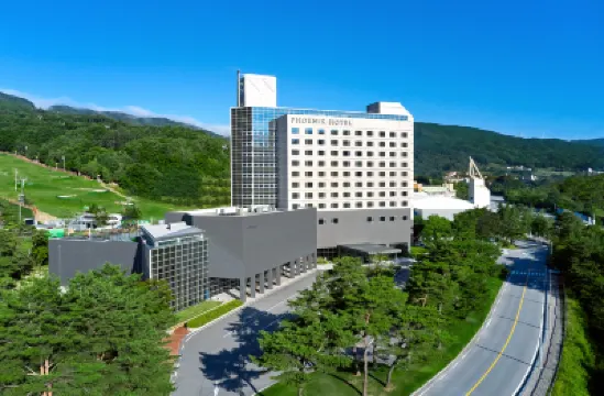 Phoenix Hotel Pyeongchang Hotels in 
