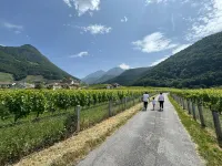 Historic House Between Montreux Leysin and Villars
