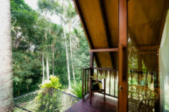 Ubud Jungle Stay by WAHM Hotel Management