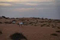 Al Maha, a Luxury Collection Desert Resort & Spa, Dubai Hotels in Murquab