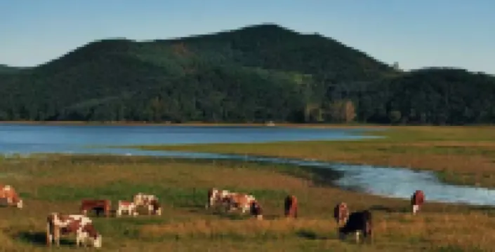 Huzi No.1 Party House