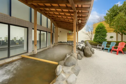 Hadano Yugawara Onsen Manyo No Yu Hotels in Hadano