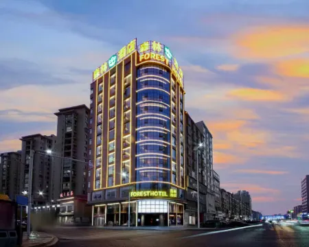 Forest Hotel Hotels in Leping