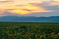 Nalati Mountain Yedu Homestay - 2-نجوم