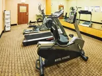Diebushiyehotel - Gym