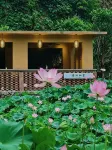 Dao · Jianxi Homestay - bar