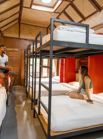 รูปภาพของแมด มังกี้ ปาย