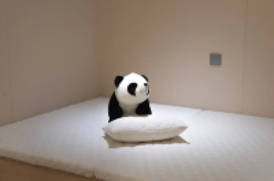 Huangguoshu YueRong Hotel