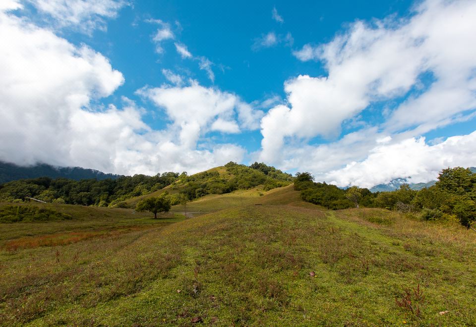 샹롱즈 팜스테이 객실