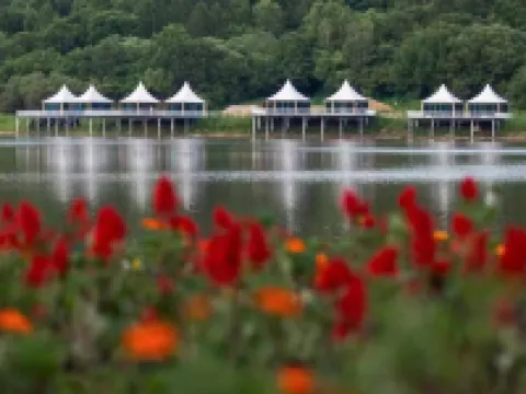 Forest Mangu Hotel Hotels in Huadian