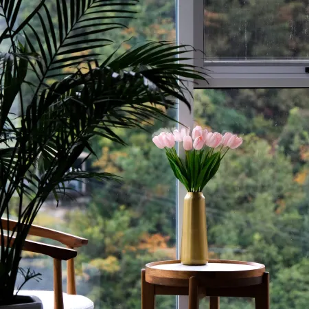 Yunhe Homestay