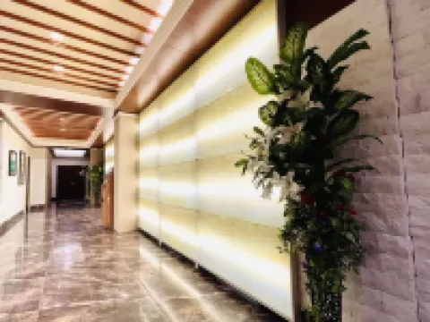 Arashi Hotel Shinsaibashi