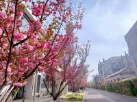 Homeinn Selected Hotel (Beijing Beihai Park Peking University Hospital) Hotels near Forbidden City