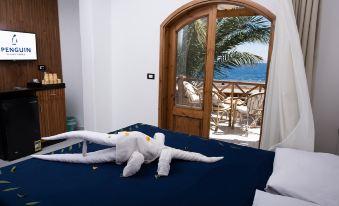 Penguin Village Dahab