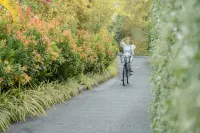 Ana Mandara Cam Ranh - Romantic