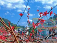 Lanyue Xingyu · Pinyue Butterfly Valley · Floral Boutique Stay - Romantic