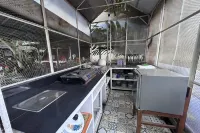Carla Garden