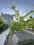 Huorgos Linyi Fruit Language Homestay