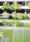 InterContinental Hotels SANYA RESORT by IHG - Ocean View