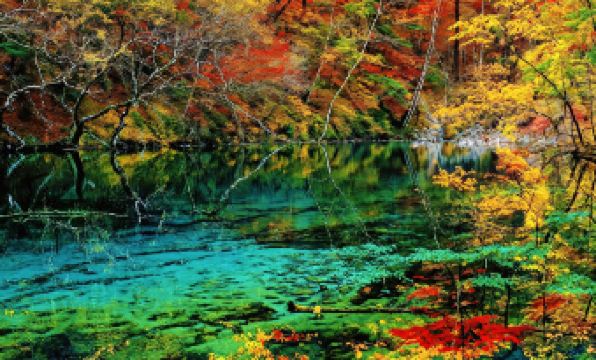 Wild Hidden Mountain Homestay