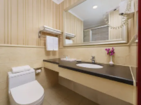 大連虹港ホテル（周水子空港） 大連のホテル