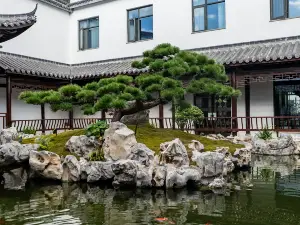 江西 50 大當地風情飯店