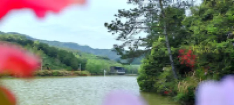 東至松林農場農家樂
